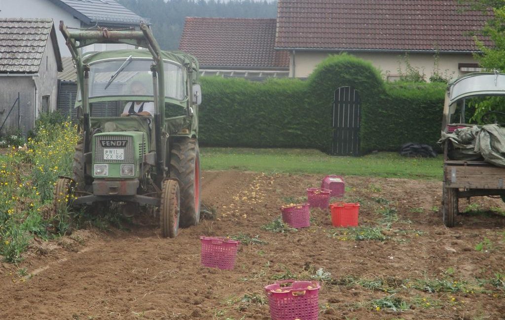 Ein Tag auf dem Kartoffelfeld