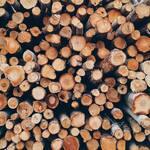Brennholz 2026